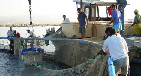 Une Journée nationale du pêcheur mardi à Dellys