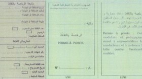 تفاصيل منح وسحب واسترجاع “رخص” السياقة بالتنقيط