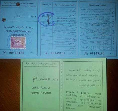 Penalty points system in Driving licence to be relaunched after freezing