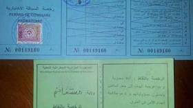 وصولات سير مؤقتة عوض رخص السياقة بالتنقيط