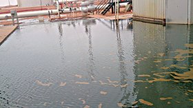 البترول يضيع في عز انهيار الأسعار !