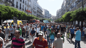 الجمعة 29 | الإستقلال قادم رغم أنف من أبى!