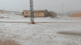 الثلوج تعود إلى صحراء بسكرة بعد 31 سنة