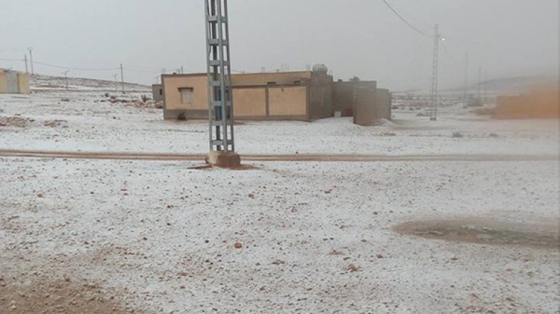 الثلوج تعود إلى صحراء بسكرة بعد 31 سنة