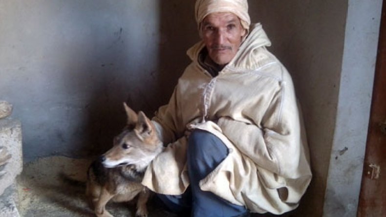 شيخ أعزب يعيش مع الذئاب منذ أربعين سنة في أم البواقي