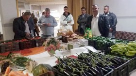 فلاحو الوادي مستاؤون من تبخر حلم التصدير