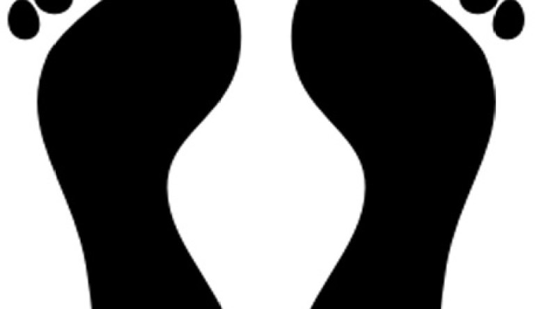 أقدام سوداء يطالبون بمساواتهم بالجزائريين أمام العدالة