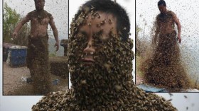 صيني يغطي جسمه بـ460 ألف نحلة