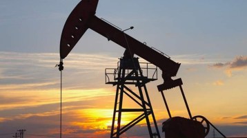 الجزائر تُلدغ من الجحر.. مرات