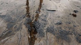 شركات بترولية تلقي مواد سامة بأحواض غير محمية بإيليزي