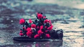 المطر سيمفونية العشاق وحكايات بدون نهايات