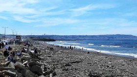 إنزال بشري على شواطئ العاصمة خارج تعليمة الوالي!