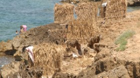 منحرفون‭ ‬يحوّلون‭ ‬شاطئ‭ ‬بيرار‭ ‬إلى‭ ‬حصن‭ ‬للدعارة‭ ‬