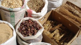 أعشاب مقوية جنسيا تهدد فحولة وأرواح الجزائريين