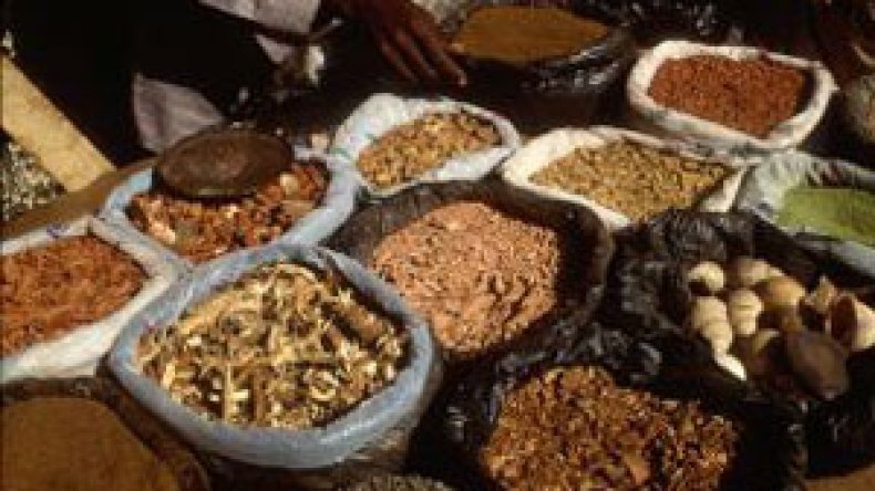 وفاة فتاة وإصابة شقيقتها بعد تناول أعشاب سامة