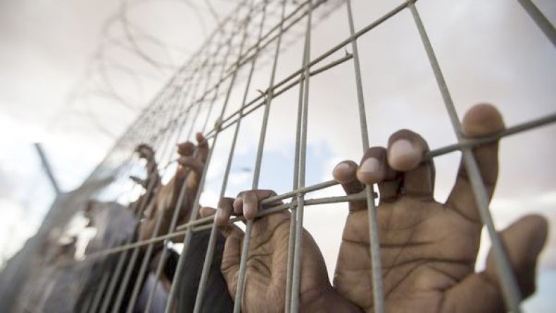 جزائريون في إضراب عن الطعام لأجل الأسرى الفلسطينيين