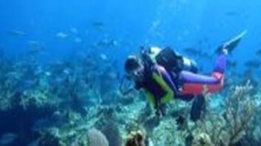 20 exposants au 2e Salon de la plongée sous-marine d’Alger