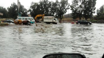 الحيوانات المريضة بالبشر!
