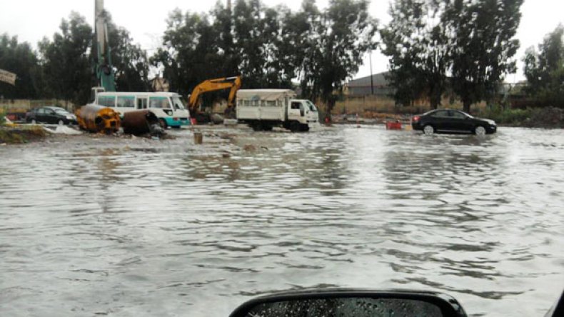 الحيوانات المريضة بالبشر!