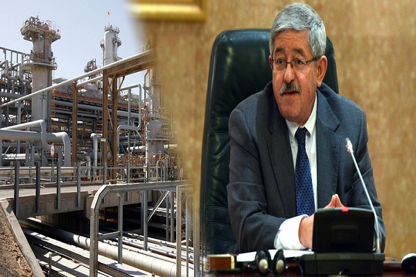 Ouyahia: Algeria will keep 49/51 rule