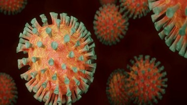 Un nouveau vaccin nasal anti-Covid mis au point en Inde
