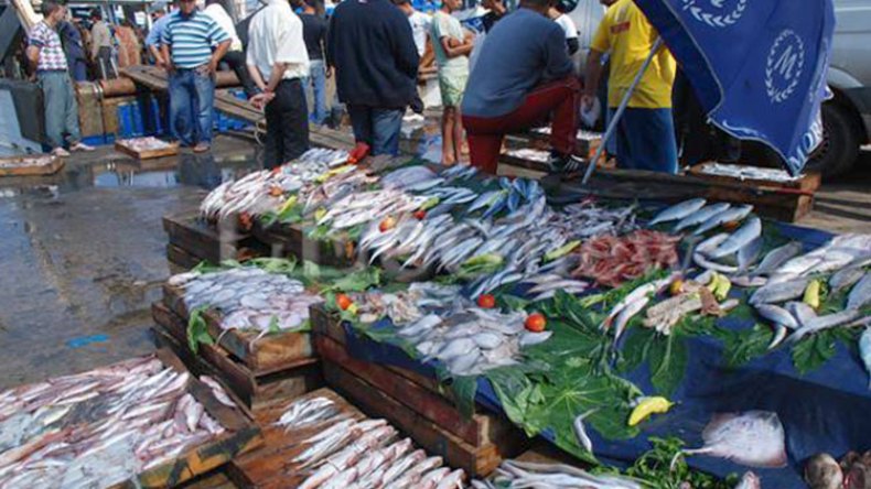 فروخي: إجراءات عاجلة لضبط أسواق السمك الوطنية ومراقبتها
