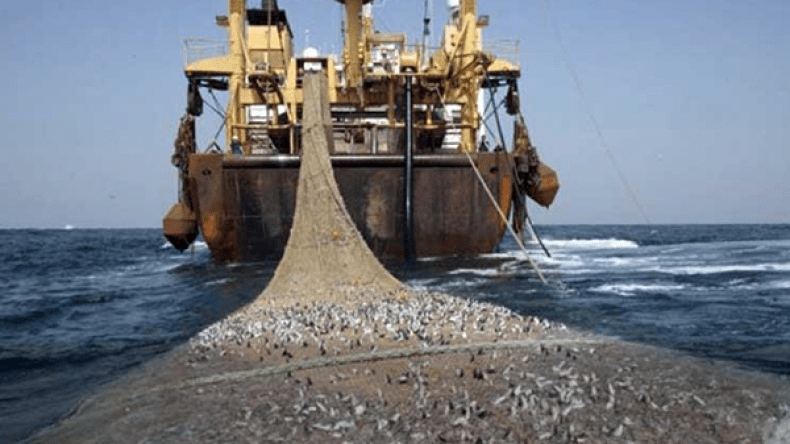 نحو إلغاء اتفاق الصيد البحري بين المغرب والإتحاد الأوروبي