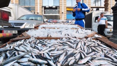Flambée des prix du poisson: explications du ministre de la Pêche