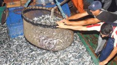 Du poisson mauritanien sur les tables algériennes