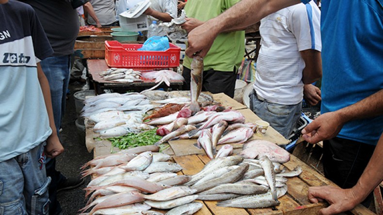 أسماك أرصفة الموانئ غير مراقبة ومجمدة واغلبها مخصص لتنظيف الأودية