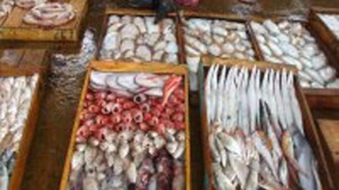 Saisie de 24 quintaux de poisson impropre à la consommation à Batna
