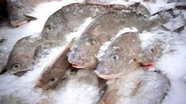 Viandes et poissons congelés pour contourner les hauts prix du ’’frais’’