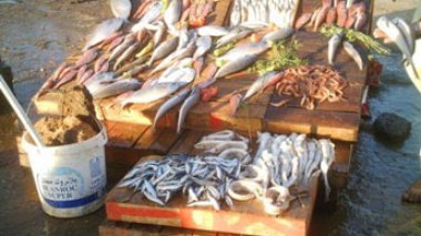 Des filets de pêche prohibés menacent nos réserves halieutiques