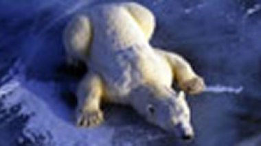 New book/McEwan sees funny side of climate change in novel reading