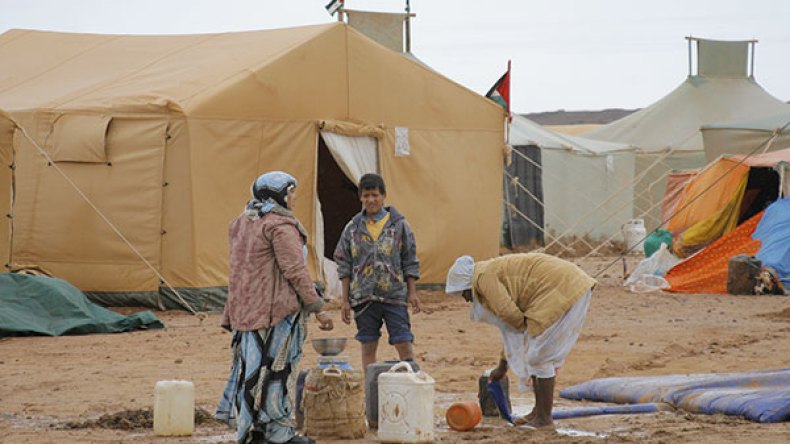 لا أساس من الصحة لمطالبة الأفارقة بتعليق عضوية البوليزاريو في الاتحاد الإفريقي