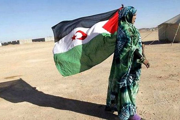 Algeria Representative To The UN Confounds His Moroccan Counterpart