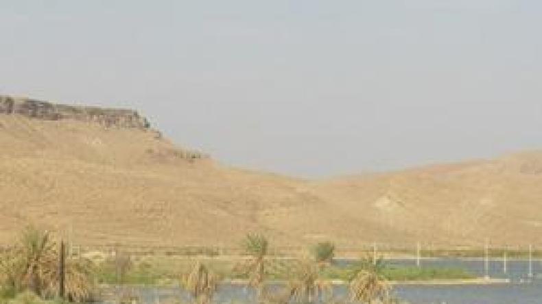 التفوئيد يضرب وادي ريغ ويهدّد مناطق الجنوب