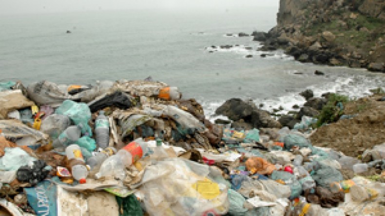 تلوث بحري يهدّد الثروة السمكية وينذر بغلق الشواطئ