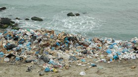 مصطافون يسبحون وسط القذارة!