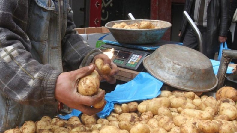 فيلالي: غلاء البطاطا مؤقت بفعل موجة الرياح في وادي سوف