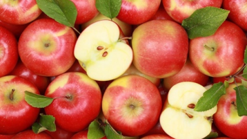 “زردة” التفاح ولاكامورا!