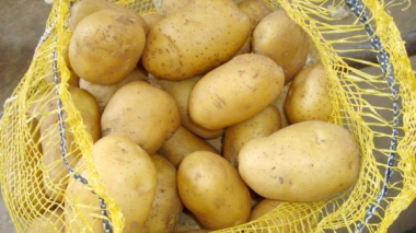 Tons of potatoes may be damaged on Tunisian borders