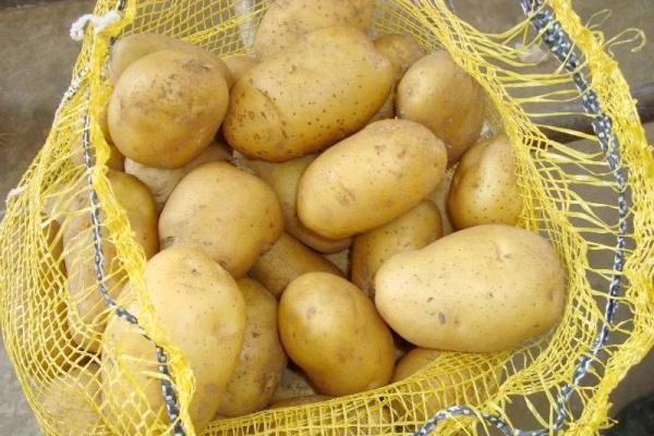Tons of potatoes may be damaged on Tunisian borders