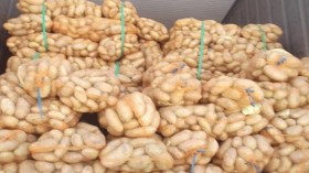 بطاطا مجمدة سريعة الاحتراق تغزو أسواق وهران؟