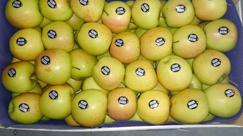 استيراد التفاح بربع أورو وبيعه للجزائريين بـ 500 دينار !