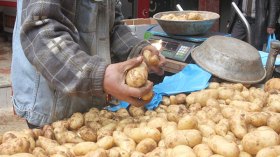 ويحدثونك عن.. “المافيا”!