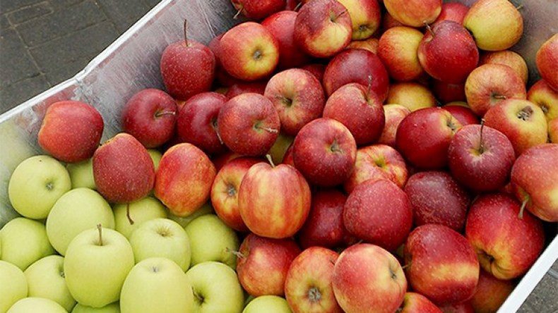 التفاح يُخِرج من الجنة!