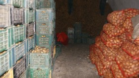 مصدر البطاطا الكندية الفاسدة إلى الجزائر في 2007 يغادر السجن