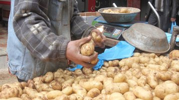 تحيا البطاطا!