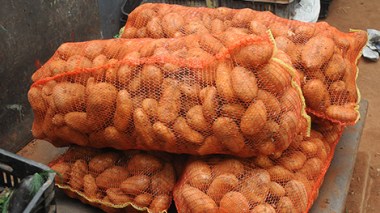 Potatoes' retailers supported by government to break prices
